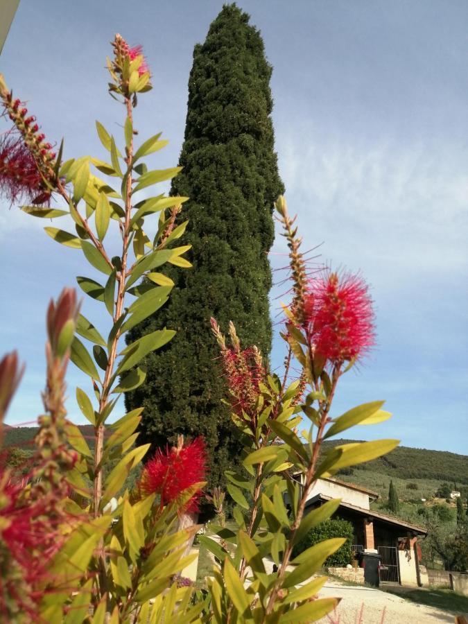 Borgo Buciardella Villa Baschi Exterior photo