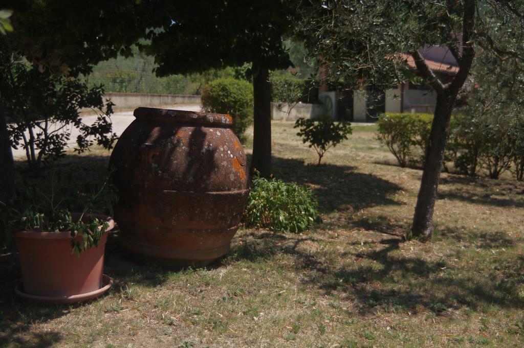 Borgo Buciardella Villa Baschi Exterior photo